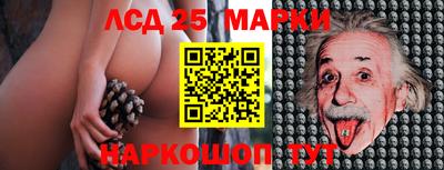 индика Кулебаки