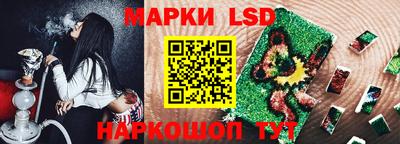 индика Кулебаки