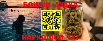 индика Кулебаки