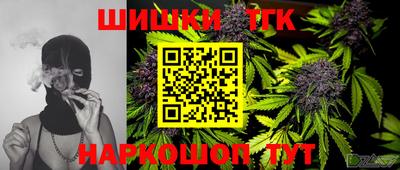 индика Кулебаки