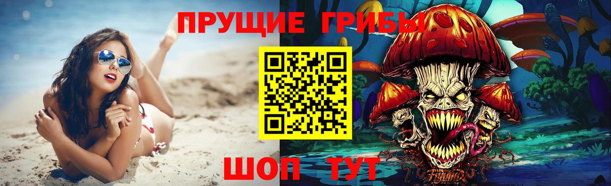 Электросталь  Псилоцибиновые грибы GOLDEN TEACHER  Вход с VPN 